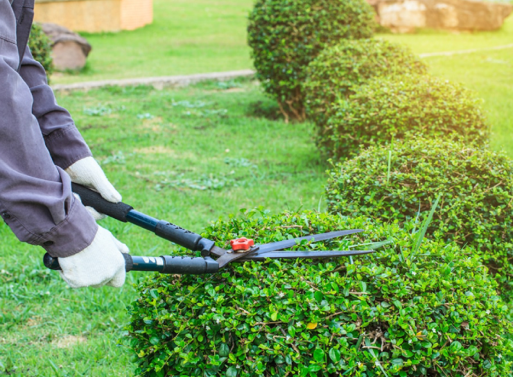 Landscaping And Tree Services