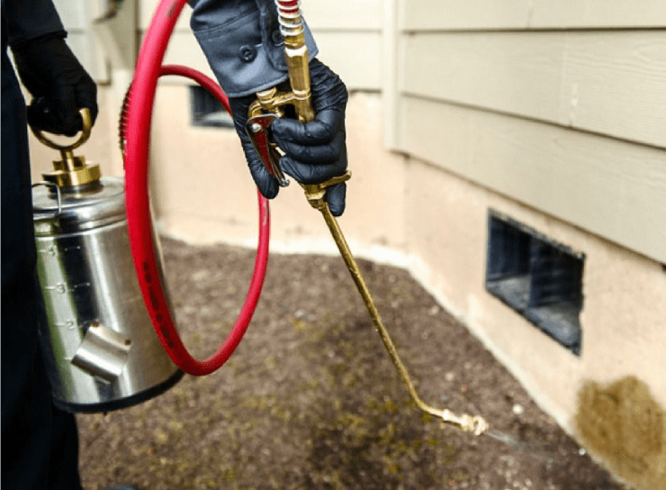 Pest, Critter And Rodent Control Services